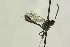  ( - CollHH1311)  @12 [ ] Creative Commons  Attribution Non-Commercial Share-Alike (2018) Hakon Haraldseide Unspecified