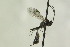  ( - CollHH1312)  @12 [ ] Creative Commons  Attribution Non-Commercial Share-Alike (2018) Hakon Haraldseide Unspecified