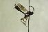  ( - CollHH1314)  @12 [ ] Creative Commons  Attribution Non-Commercial Share-Alike (2018) Hakon Haraldseide Unspecified