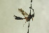  ( - CollHH1315)  @12 [ ] Creative Commons  Attribution Non-Commercial Share-Alike (2018) Hakon Haraldseide Unspecified
