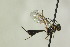  ( - CollHH1316)  @13 [ ] Creative Commons  Attribution Non-Commercial Share-Alike (2018) Hakon Haraldseide Unspecified
