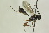  ( - CollHH1317)  @13 [ ] Creative Commons  Attribution Non-Commercial Share-Alike (2018) Hakon Haraldseide Unspecified