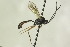  ( - CollHH1321)  @13 [ ] Creative Commons  Attribution Non-Commercial Share-Alike (2018) Hakon Haraldseide Unspecified