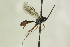 ( - CollHH1325)  @13 [ ] Creative Commons  Attribution Non-Commercial Share-Alike (2018) Hakon Haraldseide Unspecified