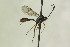  ( - CollHH1326)  @13 [ ] Creative Commons  Attribution Non-Commercial Share-Alike (2018) Hakon Haraldseide Unspecified