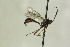 ( - CollHH1327)  @13 [ ] Creative Commons  Attribution Non-Commercial Share-Alike (2018) Hakon Haraldseide Unspecified