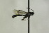  ( - CollHH1334)  @13 [ ] Creative Commons  Attribution Non-Commercial Share-Alike (2018) Hakon Haraldseide Unspecified