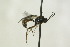  ( - CollHH1336)  @12 [ ] Creative Commons  Attribution Non-Commercial Share-Alike (2018) Hakon Haraldseide Unspecified