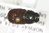  ( - CollHH1375)  @11 [ ] Creative Commons  Attribution Non-Commercial Share-Alike (2018) Hakon Haraldseide Unspecified