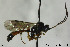  ( - CollHH139)  @13 [ ] CreativeCommons - Attribution Non-Commercial Share-Alike (2018) Hakon Haraldseide NTNU University Museum, Department of Natural History