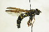  ( - CollHH1400)  @11 [ ] Creative Commons  Attribution Non-Commercial Share-Alike (2018) Hakon Haraldseide Unspecified