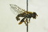  ( - CollHH1401)  @11 [ ] Creative Commons  Attribution Non-Commercial Share-Alike (2018) Hakon Haraldseide Unspecified