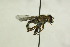  ( - CollHH1402)  @11 [ ] Creative Commons  Attribution Non-Commercial Share-Alike (2018) Hakon Haraldseide Unspecified