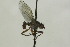  ( - CollHH1411)  @11 [ ] Creative Commons  Attribution Non-Commercial Share-Alike (2018) Hakon Haraldseide Unspecified