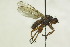  ( - CollHH1422)  @11 [ ] Creative Commons  Attribution Non-Commercial Share-Alike (2018) Hakon Haraldseide Unspecified