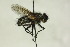  ( - CollHH1449)  @11 [ ] Creative Commons  Attribution Non-Commercial Share-Alike (2018) Hakon Haraldseide Unspecified