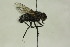  ( - CollHH1450)  @11 [ ] Creative Commons  Attribution Non-Commercial Share-Alike (2018) Hakon Haraldseide Unspecified