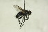  ( - CollHH1460)  @11 [ ] Creative Commons  Attribution Non-Commercial Share-Alike (2018) Hakon Haraldseide Unspecified