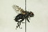  ( - CollHH1461)  @11 [ ] Creative Commons  Attribution Non-Commercial Share-Alike (2018) Hakon Haraldseide Unspecified
