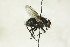 ( - CollHH1462)  @11 [ ] Creative Commons  Attribution Non-Commercial Share-Alike (2018) Hakon Haraldseide Unspecified