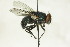 ( - CollHH1463)  @14 [ ] Creative Commons  Attribution Non-Commercial Share-Alike (2018) Hakon Haraldseide Unspecified