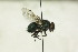  ( - CollHH1465)  @12 [ ] Creative Commons  Attribution Non-Commercial Share-Alike (2018) Hakon Haraldseide Unspecified