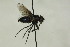  ( - CollHH1466)  @11 [ ] Creative Commons  Attribution Non-Commercial Share-Alike (2018) Hakon Haraldseide Unspecified
