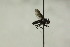  ( - CollHH1467)  @11 [ ] Creative Commons  Attribution Non-Commercial Share-Alike (2018) Hakon Haraldseide Unspecified