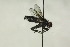  ( - CollHH1471)  @11 [ ] Creative Commons  Attribution Non-Commercial Share-Alike (2018) Hakon Haraldseide Unspecified