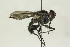  ( - CollHH1472)  @11 [ ] Creative Commons  Attribution Non-Commercial Share-Alike (2018) Hakon Haraldseide Unspecified