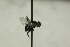  ( - CollHH1475)  @11 [ ] Creative Commons  Attribution Non-Commercial Share-Alike (2018) Hakon Haraldseide Unspecified