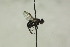 ( - CollHH1476)  @11 [ ] Creative Commons  Attribution Non-Commercial Share-Alike (2018) Hakon Haraldseide Unspecified