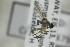  ( - CollHH1479)  @11 [ ] Creative Commons  Attribution Non-Commercial Share-Alike (2018) Hakon Haraldseide Unspecified