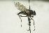  ( - CollHH1480)  @11 [ ] Creative Commons  Attribution Non-Commercial Share-Alike (2018) Hakon Haraldseide Unspecified