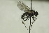  ( - CollHH1482)  @11 [ ] Creative Commons  Attribution Non-Commercial Share-Alike (2018) Hakon Haraldseide Unspecified