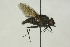  ( - CollHH1494)  @11 [ ] Creative Commons  Attribution Non-Commercial Share-Alike (2018) Hakon Haraldseide Unspecified
