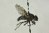  ( - CollHH1495)  @11 [ ] Creative Commons  Attribution Non-Commercial Share-Alike (2018) Hakon Haraldseide Unspecified