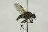  ( - CollHH1496)  @11 [ ] Creative Commons  Attribution Non-Commercial Share-Alike (2018) Hakon Haraldseide Unspecified