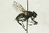  ( - CollHH1504)  @11 [ ] Creative Commons  Attribution Non-Commercial Share-Alike (2018) Hakon Haraldseide Unspecified