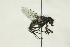  ( - CollHH1505)  @11 [ ] Creative Commons  Attribution Non-Commercial Share-Alike (2018) Hakon Haraldseide Unspecified
