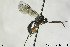  ( - CollHH152)  @12 [ ] CreativeCommons - Attribution Non-Commercial Share-Alike (2018) Hakon Haraldseide NTNU University Museum, Department of Natural History
