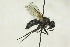  ( - CollHH1527)  @13 [ ] Creative Commons  Attribution Non-Commercial Share-Alike (2018) Hakon Haraldseide Unspecified