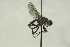  ( - CollHH1534)  @12 [ ] Creative Commons  Attribution Non-Commercial Share-Alike (2018) Hakon Haraldseide Unspecified