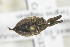  ( - CollHH1537)  @11 [ ] Creative Commons  Attribution Non-Commercial Share-Alike (2018) Hakon Haraldseide Unspecified