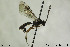  ( - CollHH154)  @12 [ ] CreativeCommons - Attribution Non-Commercial Share-Alike (2018) Hakon Haraldseide NTNU University Museum, Department of Natural History