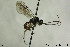  ( - CollHH155)  @12 [ ] CreativeCommons - Attribution Share-Alike (2018) Hakon Haraldseide NTNU University Museum, Department of Natural History