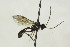  ( - CollHH1557)  @12 [ ] Creative Commons  Attribution Non-Commercial Share-Alike (2018) Hakon Haraldseide Unspecified
