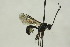  ( - CollHH1559)  @12 [ ] Creative Commons  Attribution Non-Commercial Share-Alike (2018) Hakon Haraldseide Unspecified