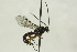  ( - CollHH1569)  @12 [ ] Creative Commons  Attribution Non-Commercial Share-Alike (2018) Hakon Haraldseide Unspecified