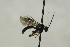  ( - CollHH1571)  @13 [ ] Creative Commons  Attribution Non-Commercial Share-Alike (2018) Hakon Haraldseide Unspecified